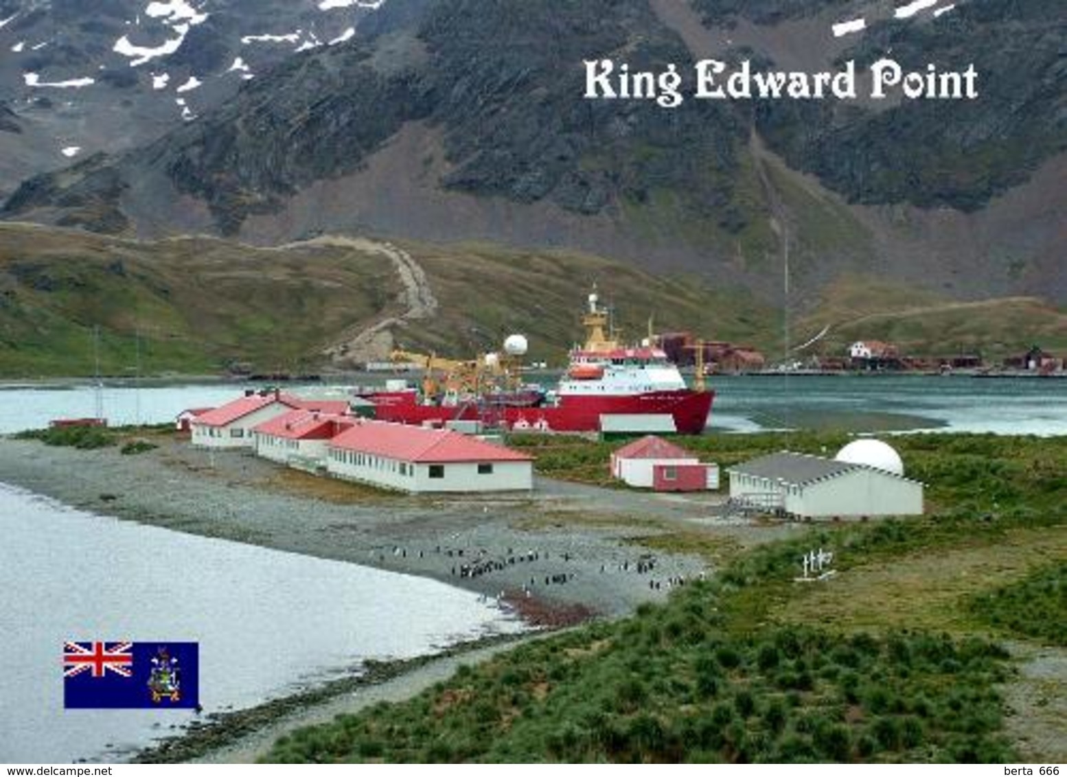 South Georgia King Edward Point New Postcard Südgeorgien AK - Sonstige & Ohne Zuordnung