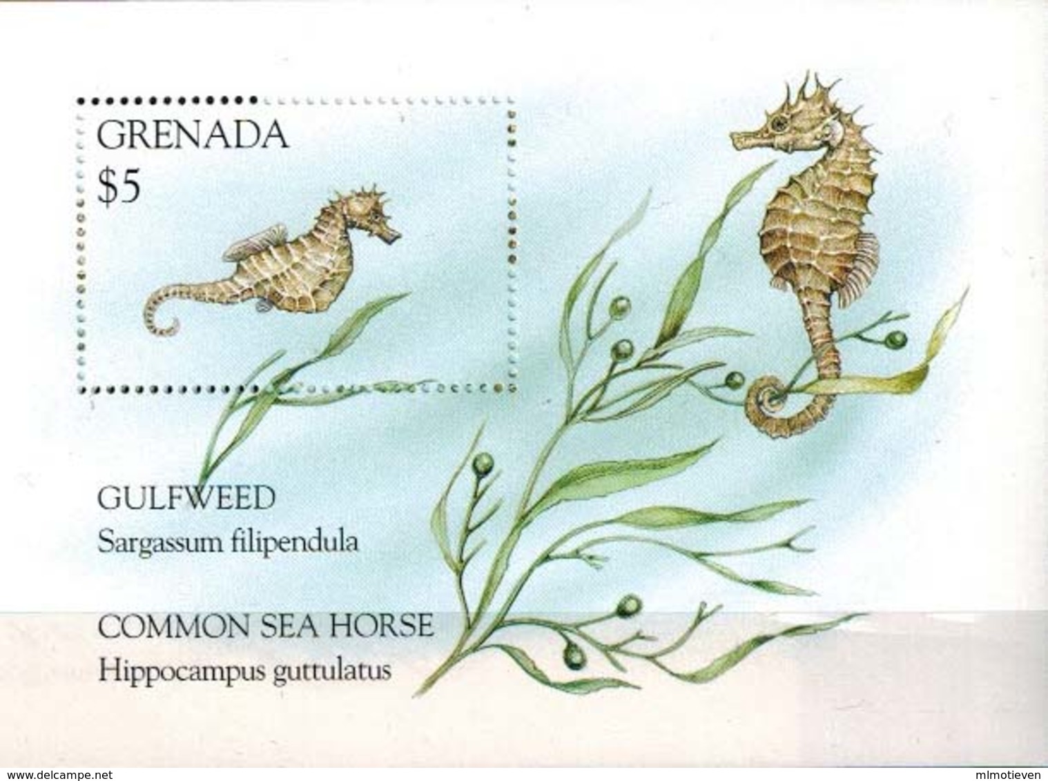 MDN-BK26-594 MINT ¤ GRENADA 1995 BLOCK ¤ SEE HORSE - MARINELIFE - FISH - SEALIFE - UNDERWATER WORLD - Fische