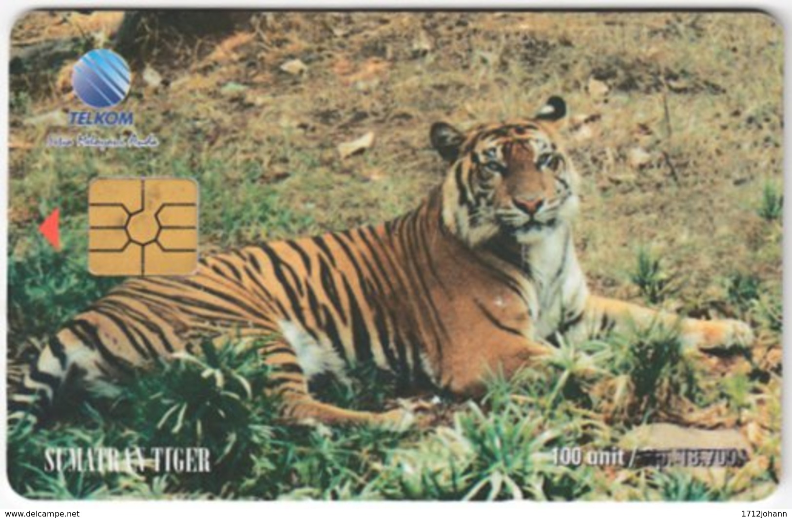 INDONESIA A-307 Chip Telekom - Animal, Cat, Tiger - Used - Indonesia