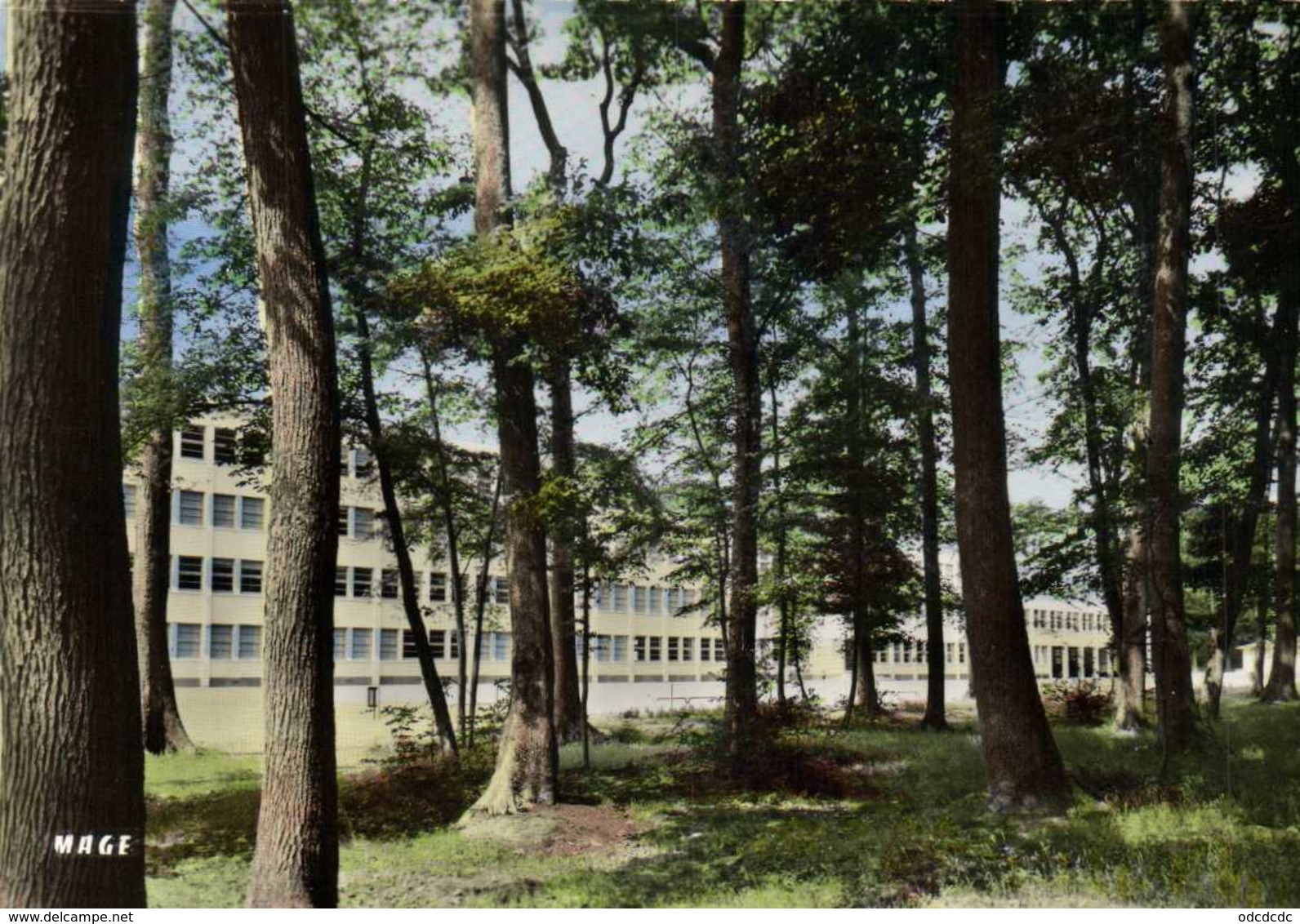 CPSM Grand Format 3B MONTARGIS (Loiret) Le Lycée En Foret  Colorisée RV  Edition MAGE  J DERENNE - Montargis