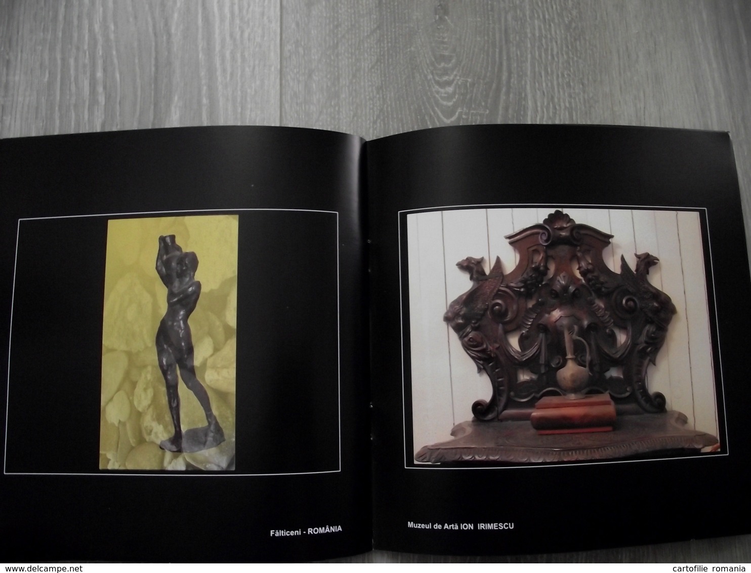 Romania - Suceava Falticeni - Art album - Illustrated - Sculptures - Ion Irimescu, 33 pages glossy quality paper