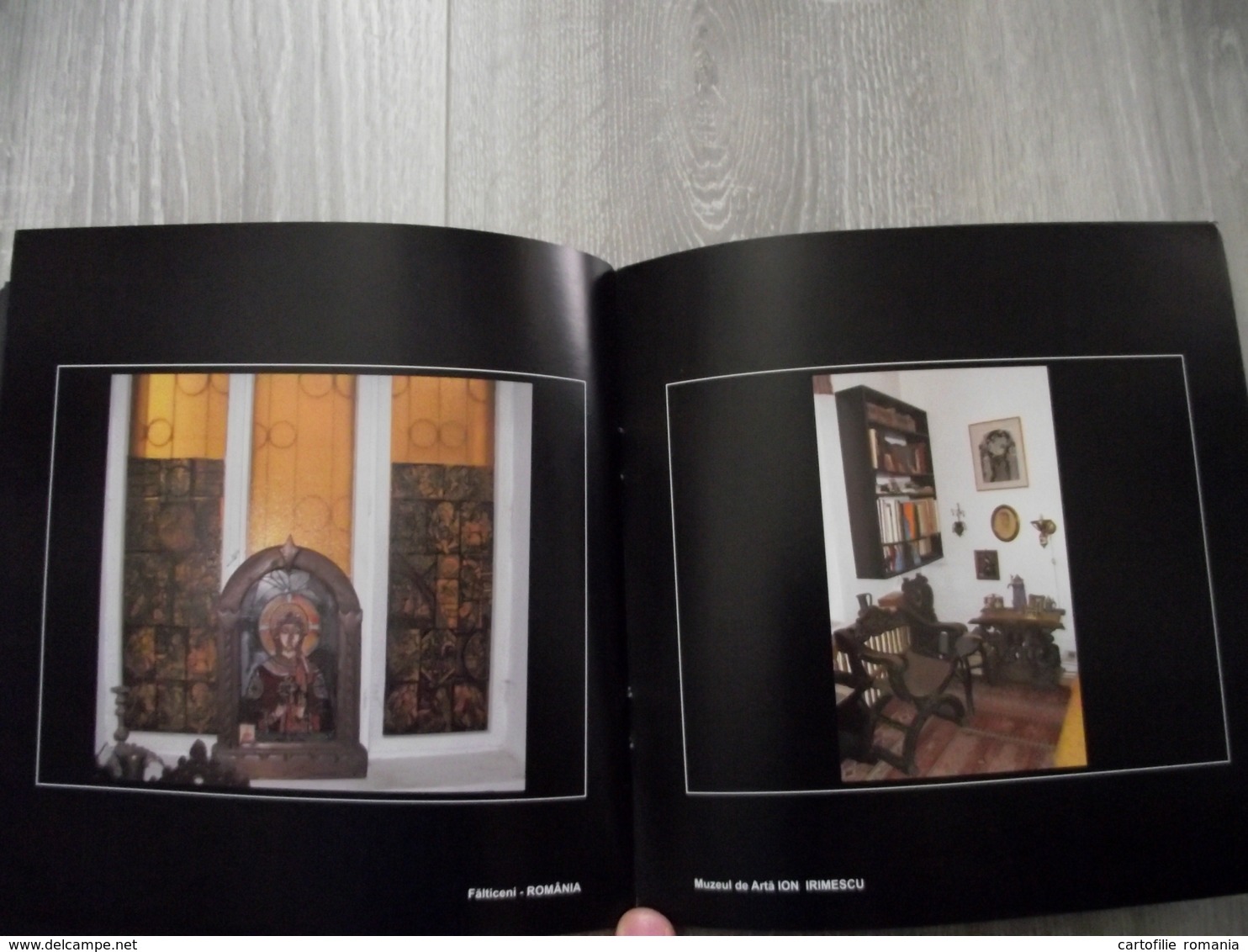 Romania - Suceava Falticeni - Art album - Illustrated - Sculptures - Ion Irimescu, 33 pages glossy quality paper