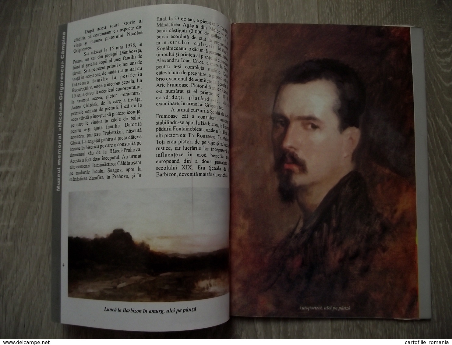 Romania - Prahova Campina - Nicolae Grigorescu Memorial House Museum - Tourism Book Brochure Illustrations 18 Pages - Tourism