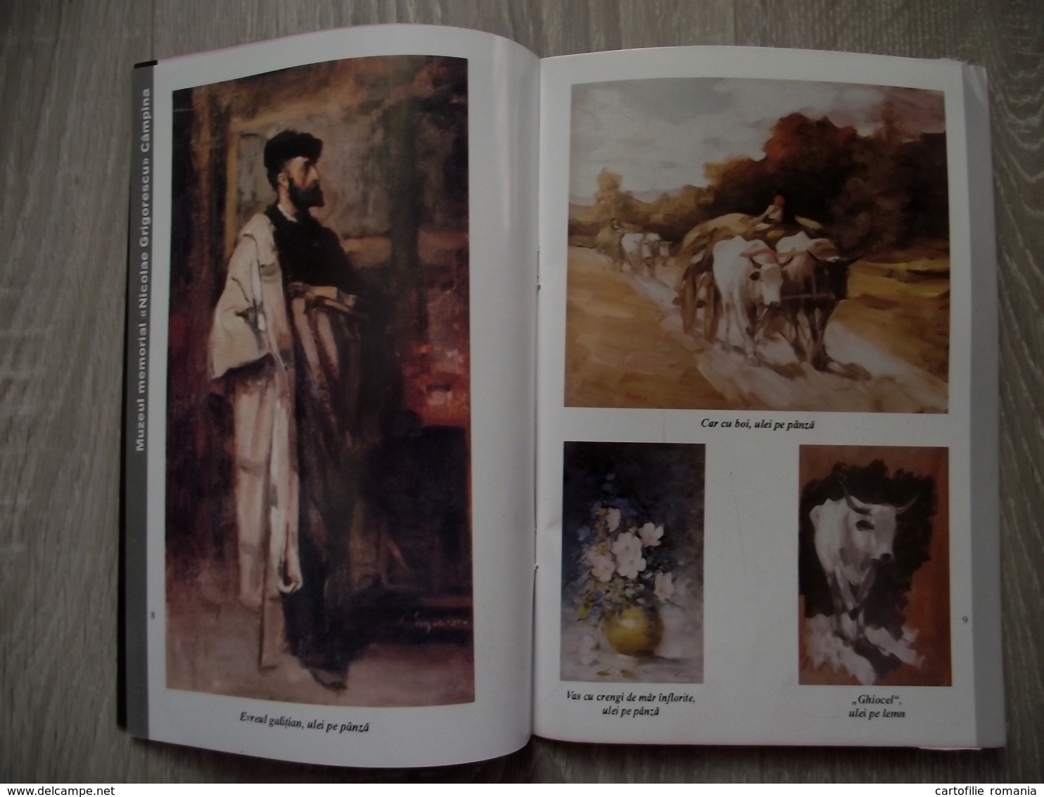 Romania - Prahova Campina - Nicolae Grigorescu Memorial House Museum - Tourism Book Brochure Illustrations 18 Pages - Turismo