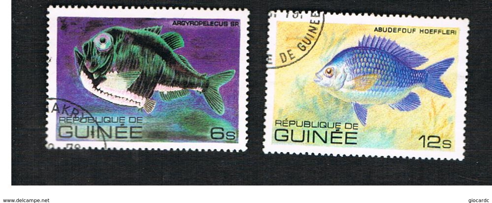 GUINEA -  SG 1031   -  1980  FISHES  - USED ° - Guinea (1958-...)