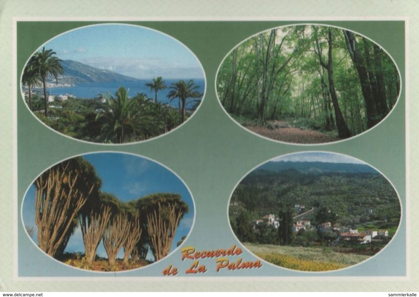 Spanien - La Palma - U.a. Garafia - 1999 - La Palma