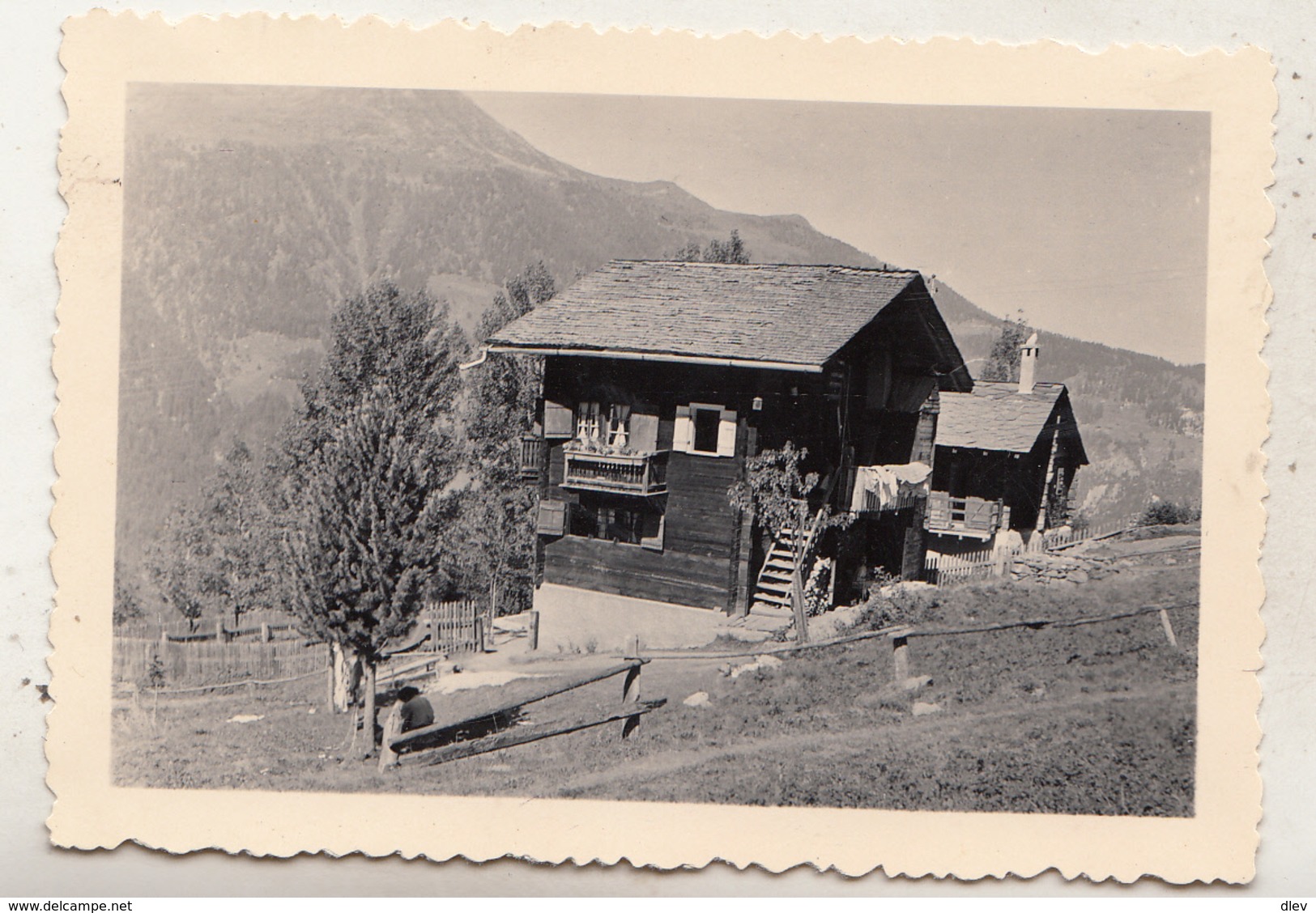 Châlet "Belle-Vue" St Luc - 1947 - Photo 6.5 X 9 Cm - Orte