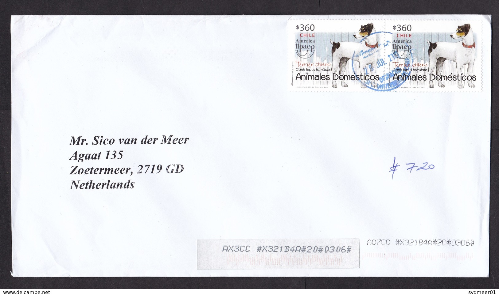 Chile: Cover To Netherlands, 2019, 2 Stamps, Terrier Dog, Animal, Upaep, Sorting Label, Rare Real Use (traces Of Use) - Chili