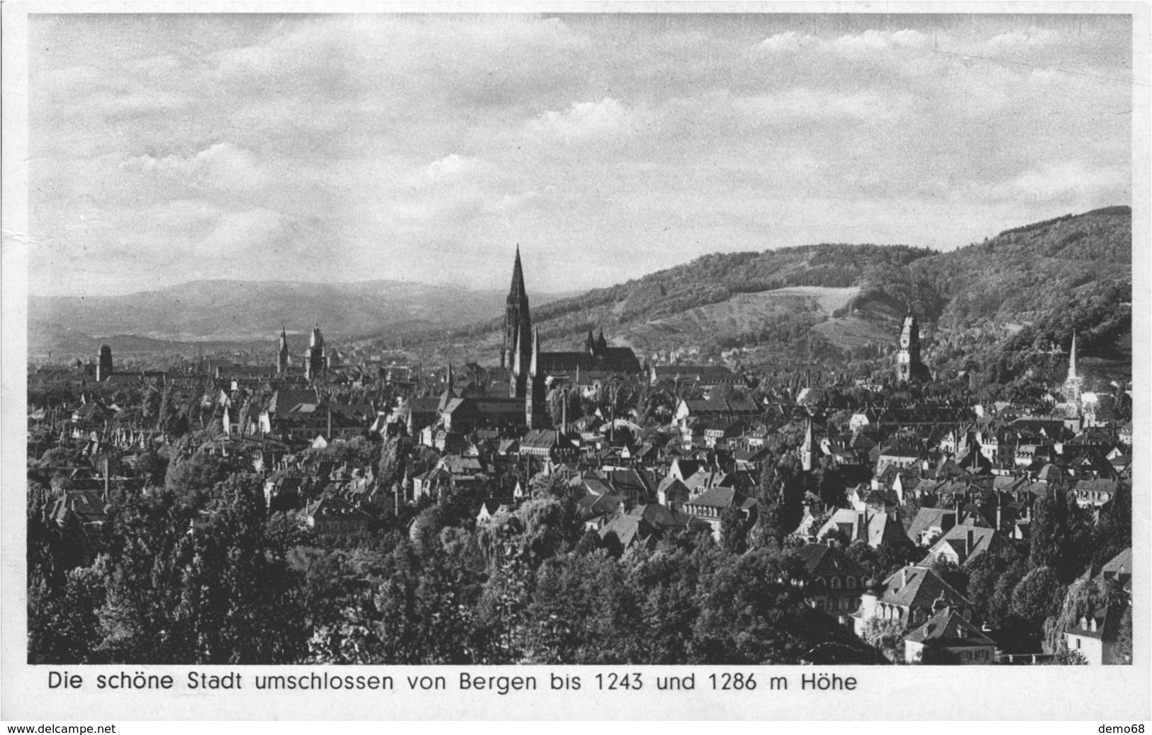 Freiburg ? Je Suppose  ?  Vue Générale Belle Photo - Freiburg I. Br.