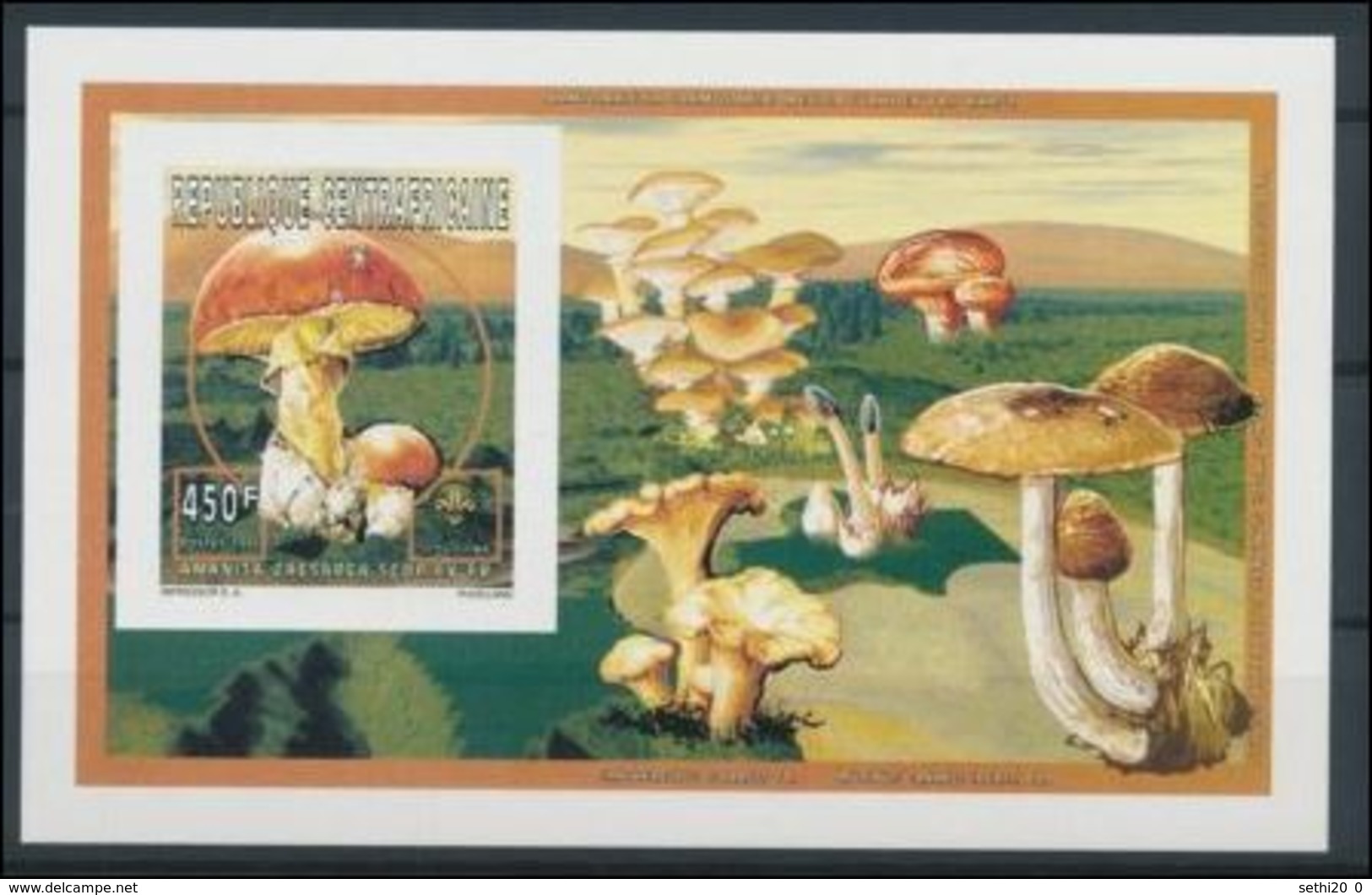 Centrafrique 1996 Mushrooms Champignons Amanta Caesara Imperf MNH - Champignons