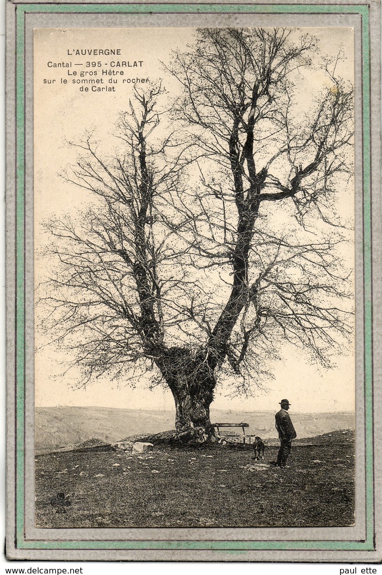 CPA - CARLAT (15) - Thème: Arbre - Aspect Du Gros Hêtre Sur Le Sommet Du Rocher Au Début Du Siècle - Carlat