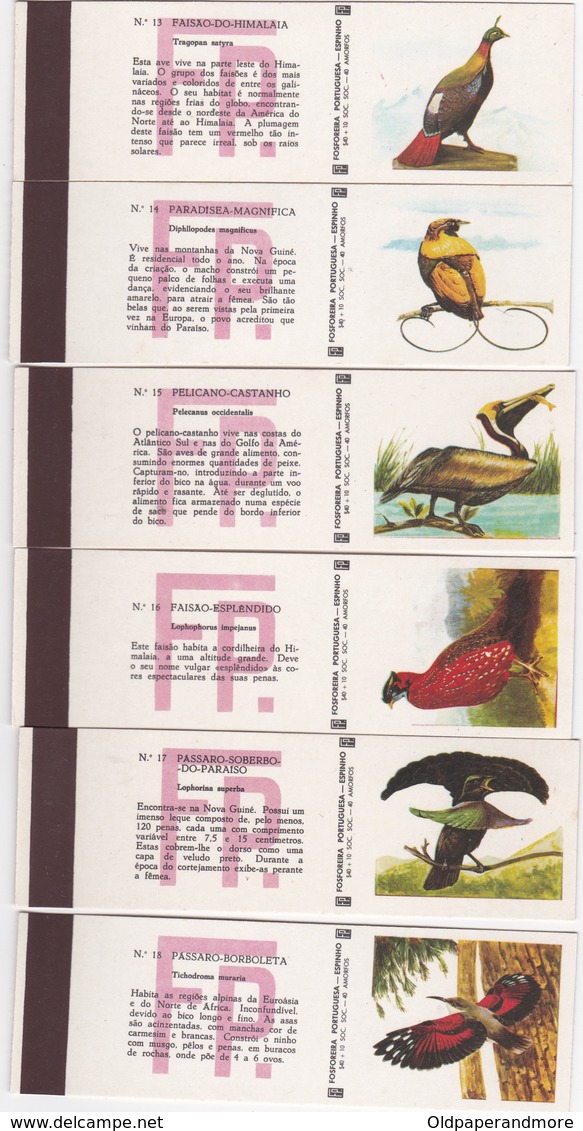 POCHETTE D'ALLUMETTE - Matchcovers Matchbook From Portugal - BIRDS BIRD - OISEAUX - COMPLET SET X 24 - Luciferdozen - Etiketten