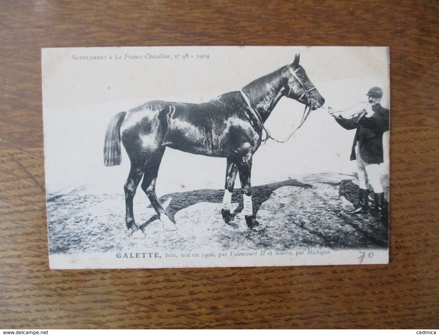 GALETTE,BAIE,NEE EN 1906,PAR VALENCOURT II ET SENORA PAR MICHIGAN-SUPPLEMENT A LA FRANCE CHEVALINE N°48 1909 - Chevaux