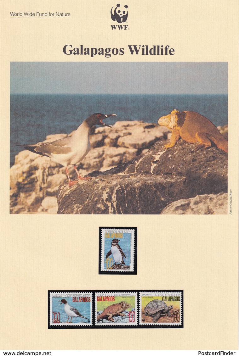 Galapagos Wildlife WWF Stamps And Set Of 4 First Day Cover Bundle - FDC