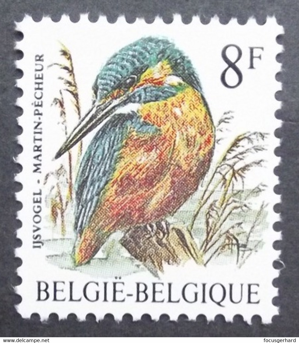 Belgien    Vögel   1986   ** - Sonstige & Ohne Zuordnung