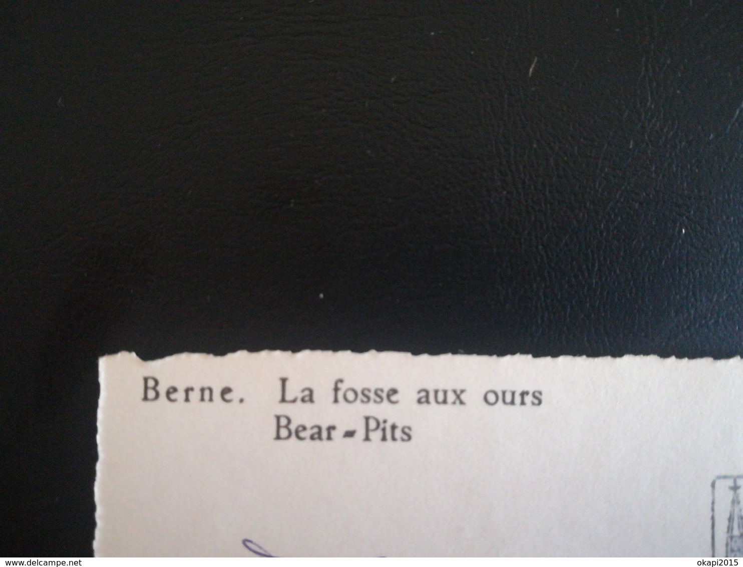 BEAR OURS POLAIRE Eisbär homme déguisé ANVERS ? BELGIQUE FOSSE AUX OURS BERNE SUISSE 3 PHOTOS +  2 CARTES POSTALES