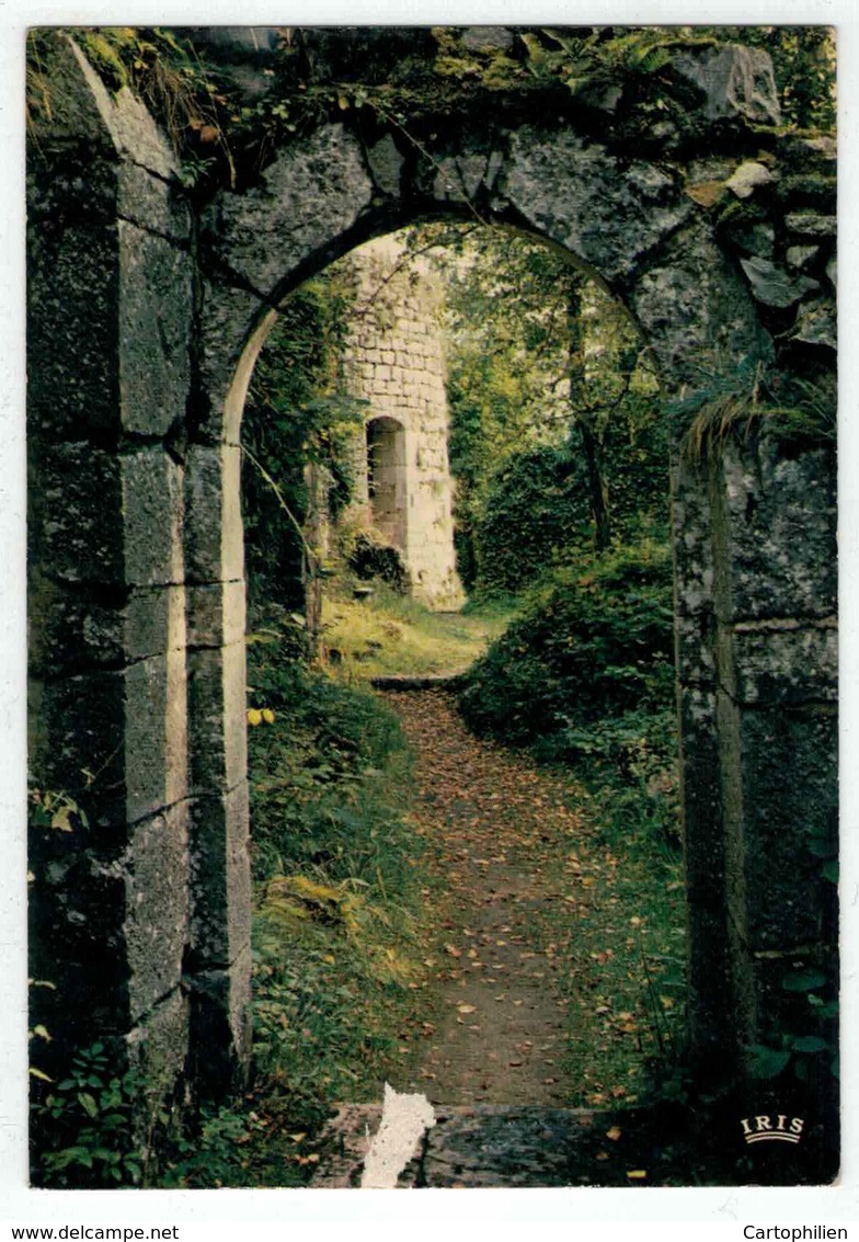 Villers La Ville - Ruines De L'Abbaye - Grand Portique Et Tour Des Rois De Bohème - Villers-la-Ville