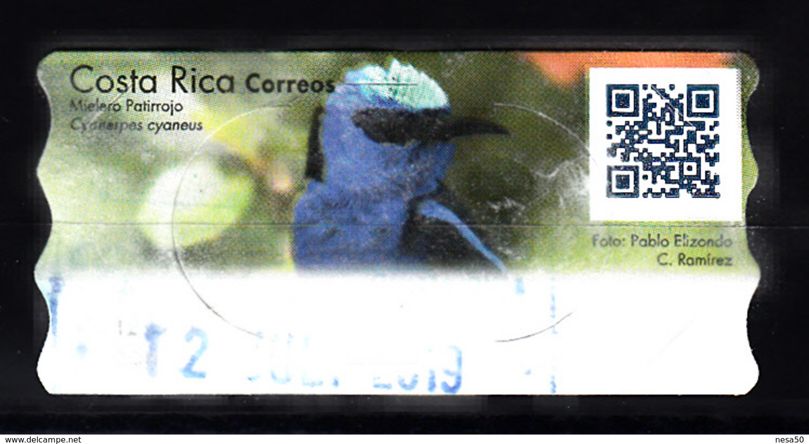 Costa Rica ATM Vogel, Bird, Blauwe Suikervogel, Mielero Patirrojo - Costa Rica