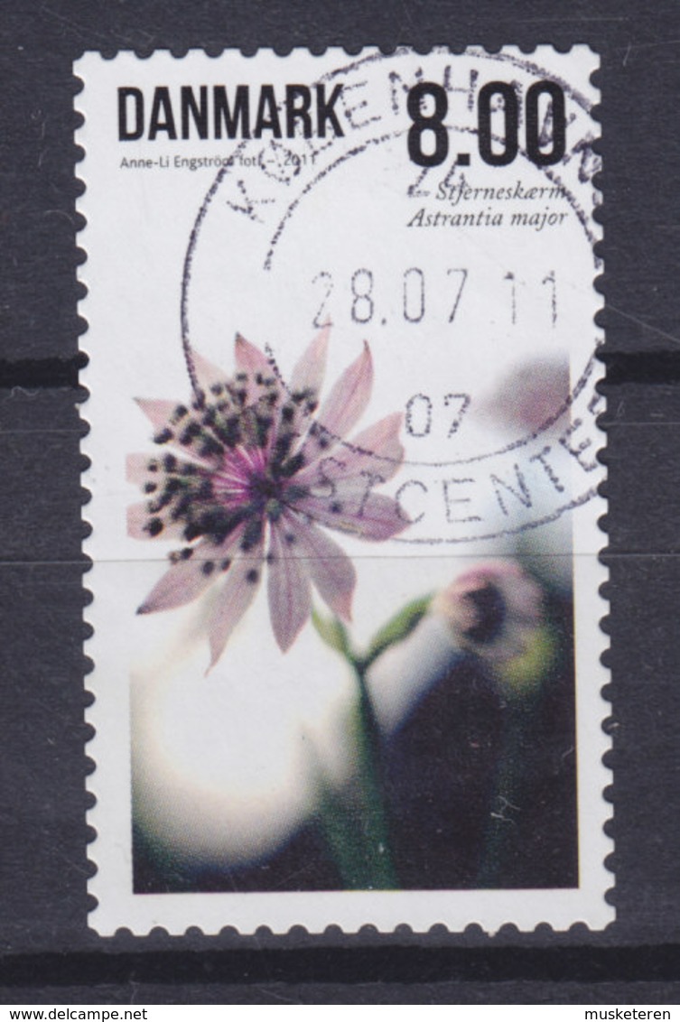 Denmark 2011 Mi. 1656 A    8.00 Kr. Summer Flower Blume (from Sheet) - Used Stamps