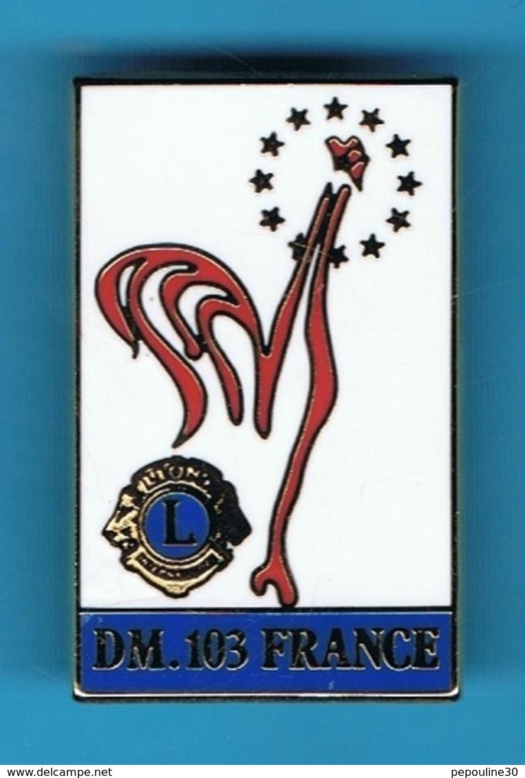 1 PIN'S //  ** LIONS CLUB DE FRANCE / DM. 103 FRANCE ** . (Sté Melun) - Associations