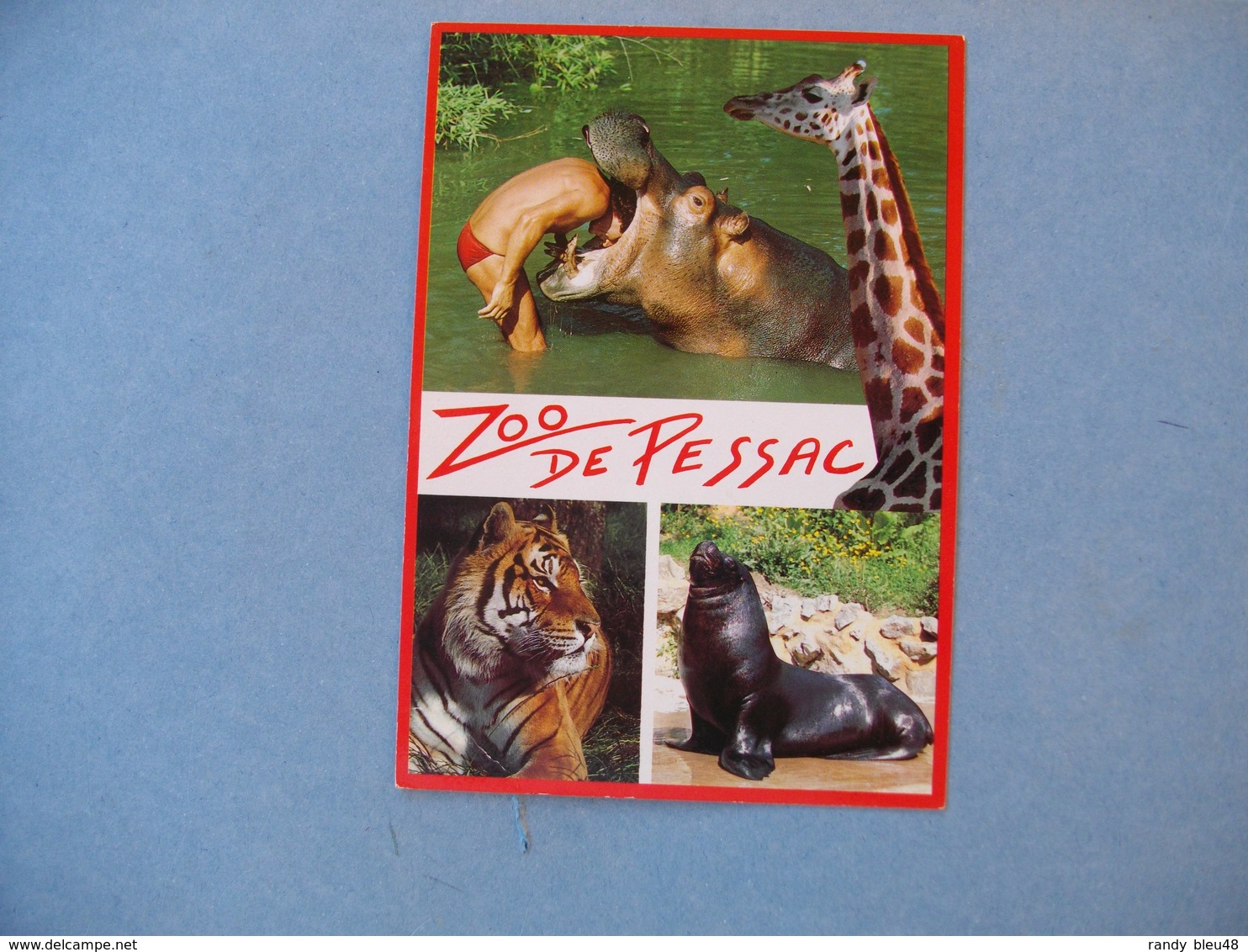 PESSAC  -  33  -  Zoo De Pessac  -  GIRONDE - Pessac