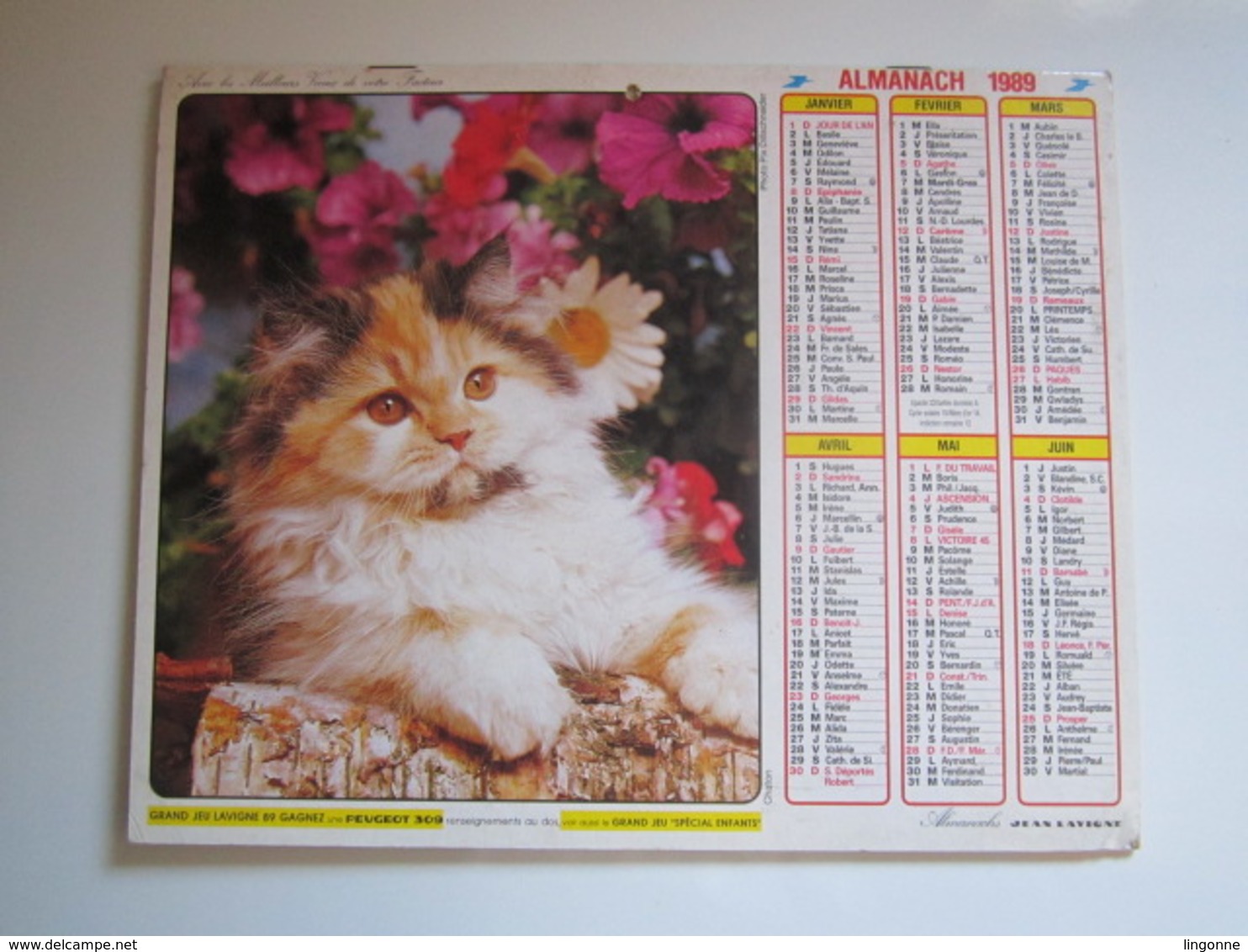 1989 ALMANACH DES P.T.T Calendrier Des Postes HAUTE-MARNE 52 - Petit Format : 1981-90