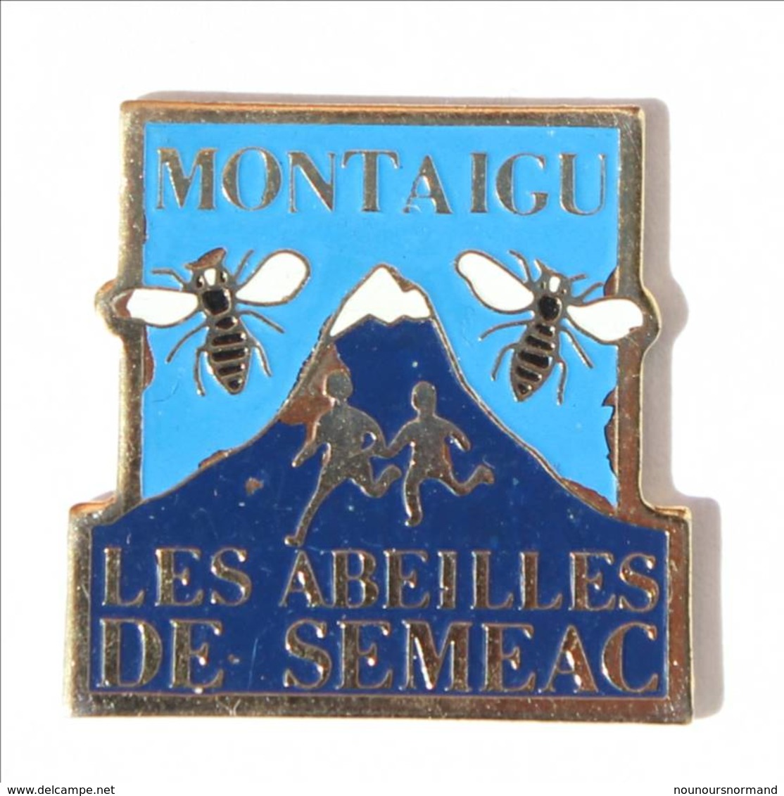 Pin's MONTAIGU (85) - Les Abeilles De SEMEAC - Enfants, Abeilles Et Montagne - I455 - Villes