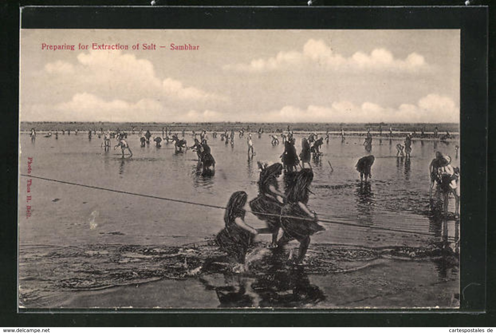 AK Sambhar, Preparing For Extraction Of Salt, Salzgewinnung - India