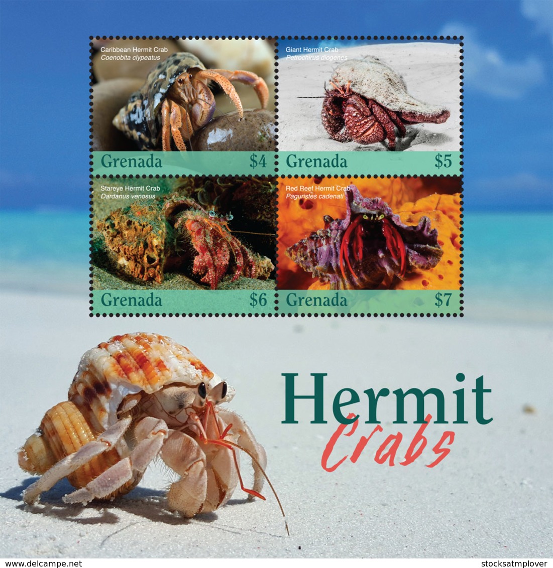 Grenada 2019  Fauna  Hermit Crabs  I201901 - Grenada (1974-...)