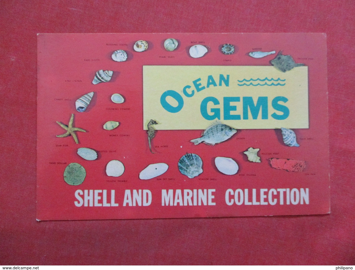 Ocean Gems  Shell & Marine Collection         Album Staining On Back ------- -ref    3550 - Other & Unclassified