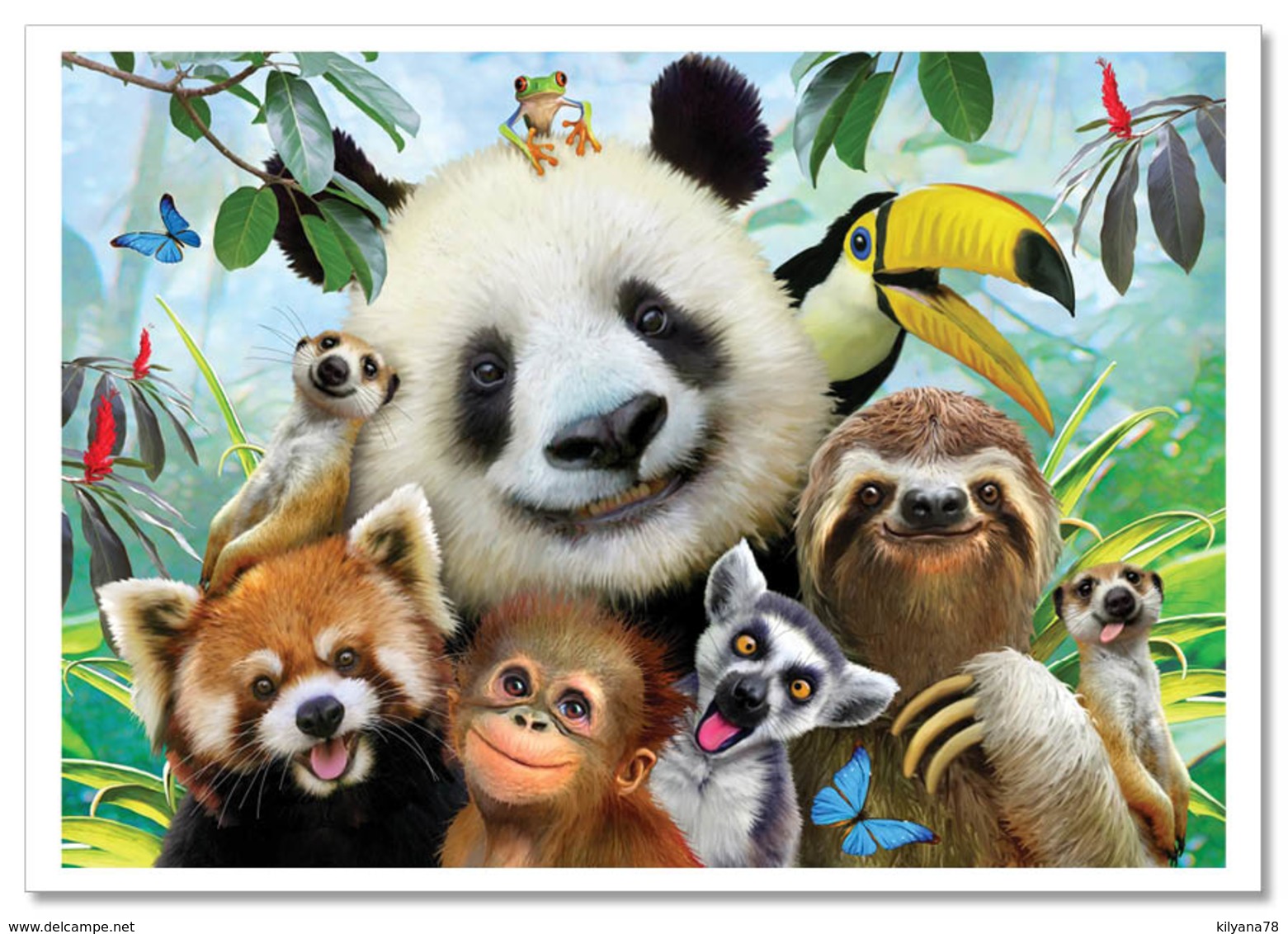 FUNNY WILD ANIMAL PANDA SLOTH Monkey Coala Lemur New Postcard - Altri & Non Classificati