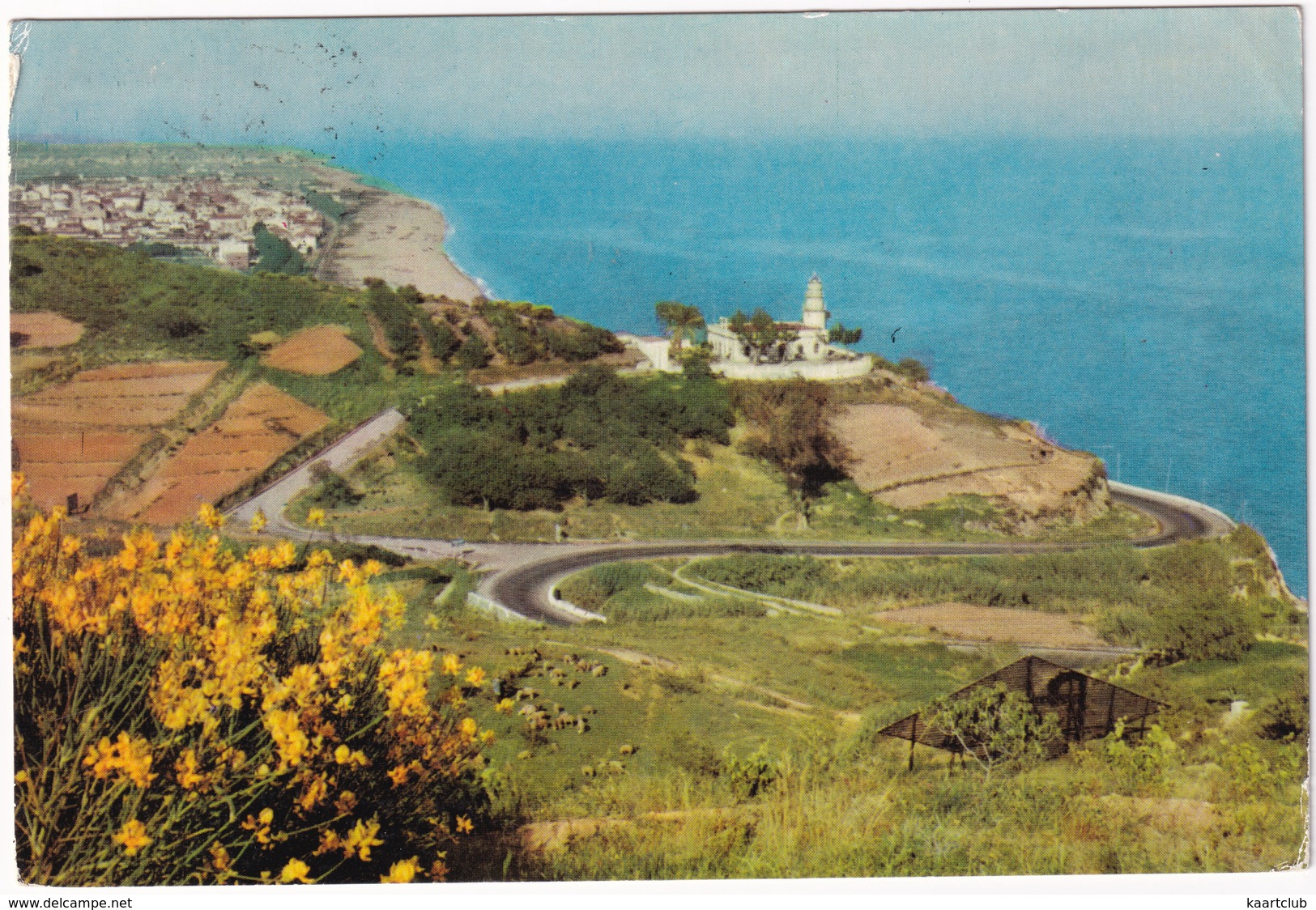 Calella - Faro Y Población Al Fondo - Phare Et Village Au Fond - (Catalonia) - Barcelona