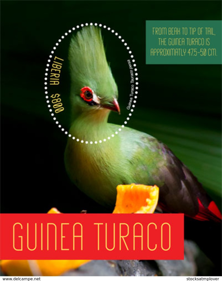 Liberia  2019  Fauna  Guinea Turaco  Bird  I201901 - Liberia