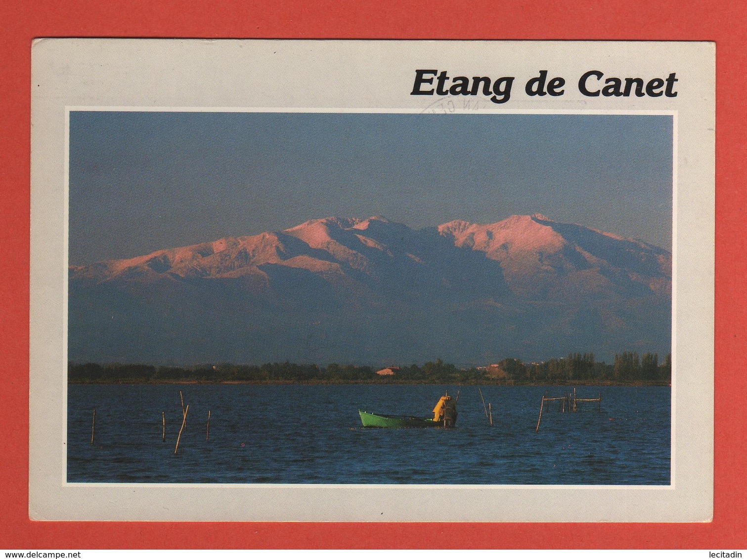 CP 66 CANET EN ROUSSILLON  Etang De Canet Année 1989 - Canet En Roussillon