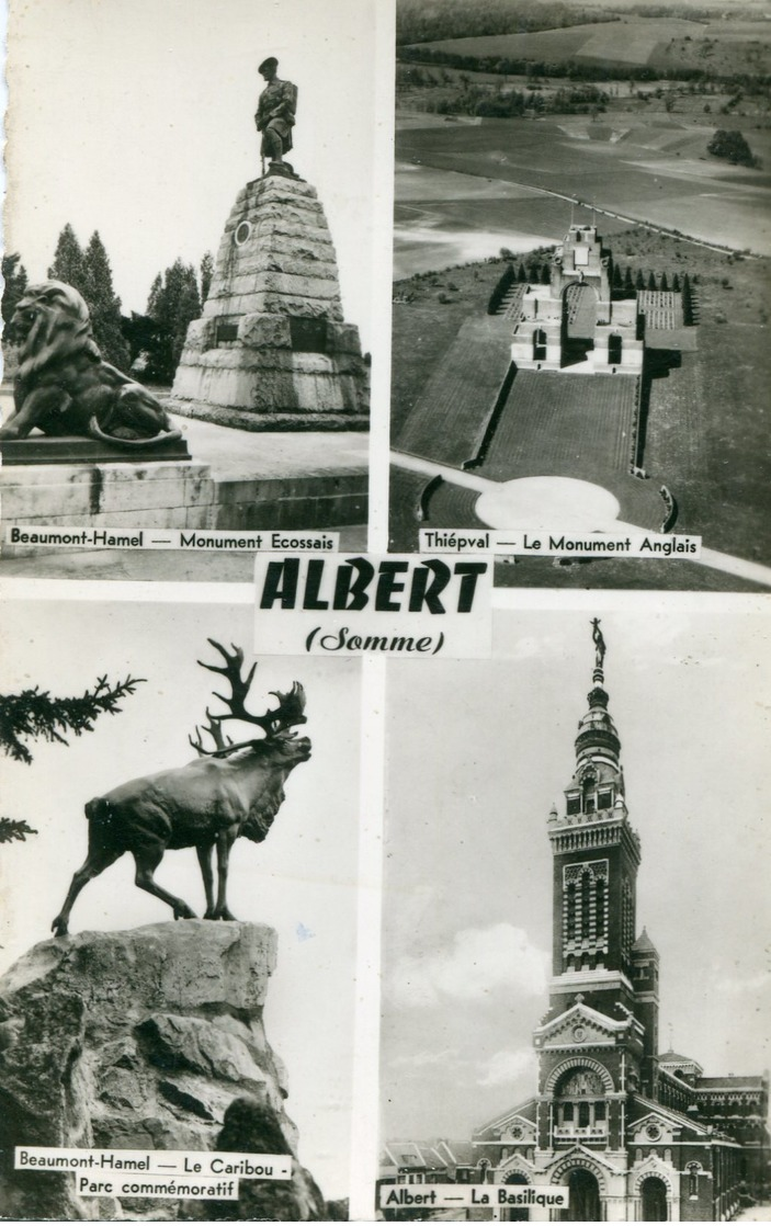 80 - ALBERT - Multivues - Albert