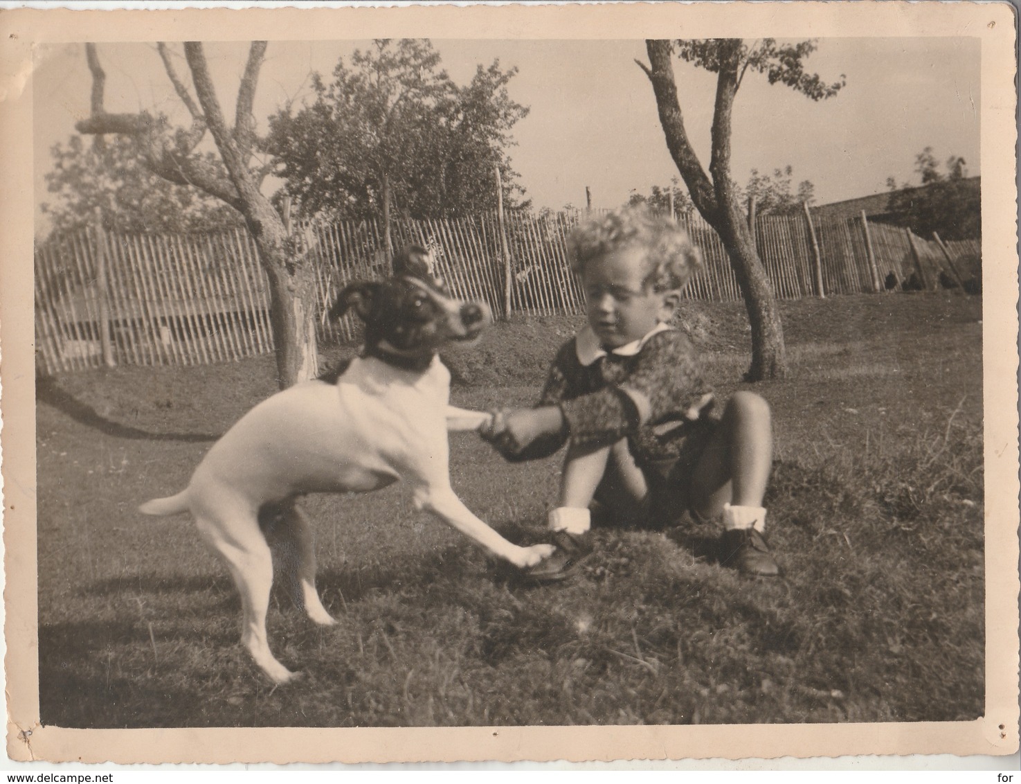 Petit Enfant " Jojo " Jouant Avec Son Chien : La Frette - Isère : ( Race à Définir ) Photo Charles NAYROLLES - Lyon - Anonymous Persons