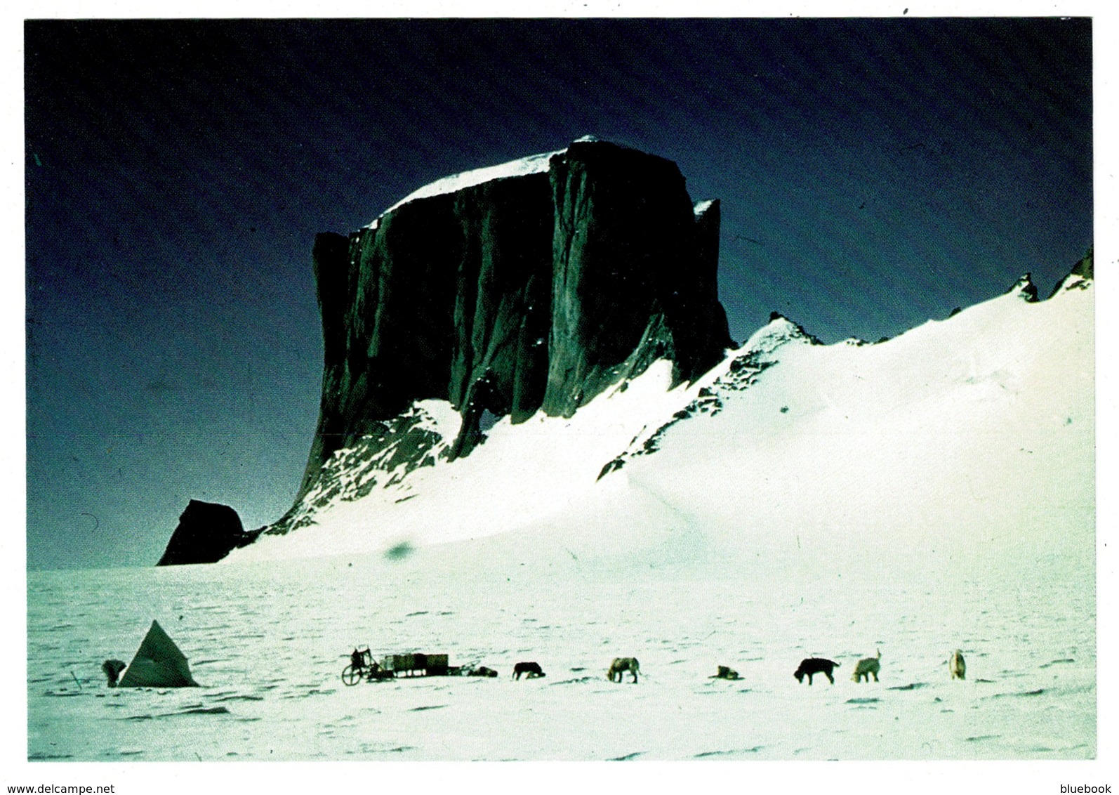 Ref 1315 - Norway Antarctic Postcard - The Chopping Block 2410m - Tent - Dog Sled & Huskies - Unclassified