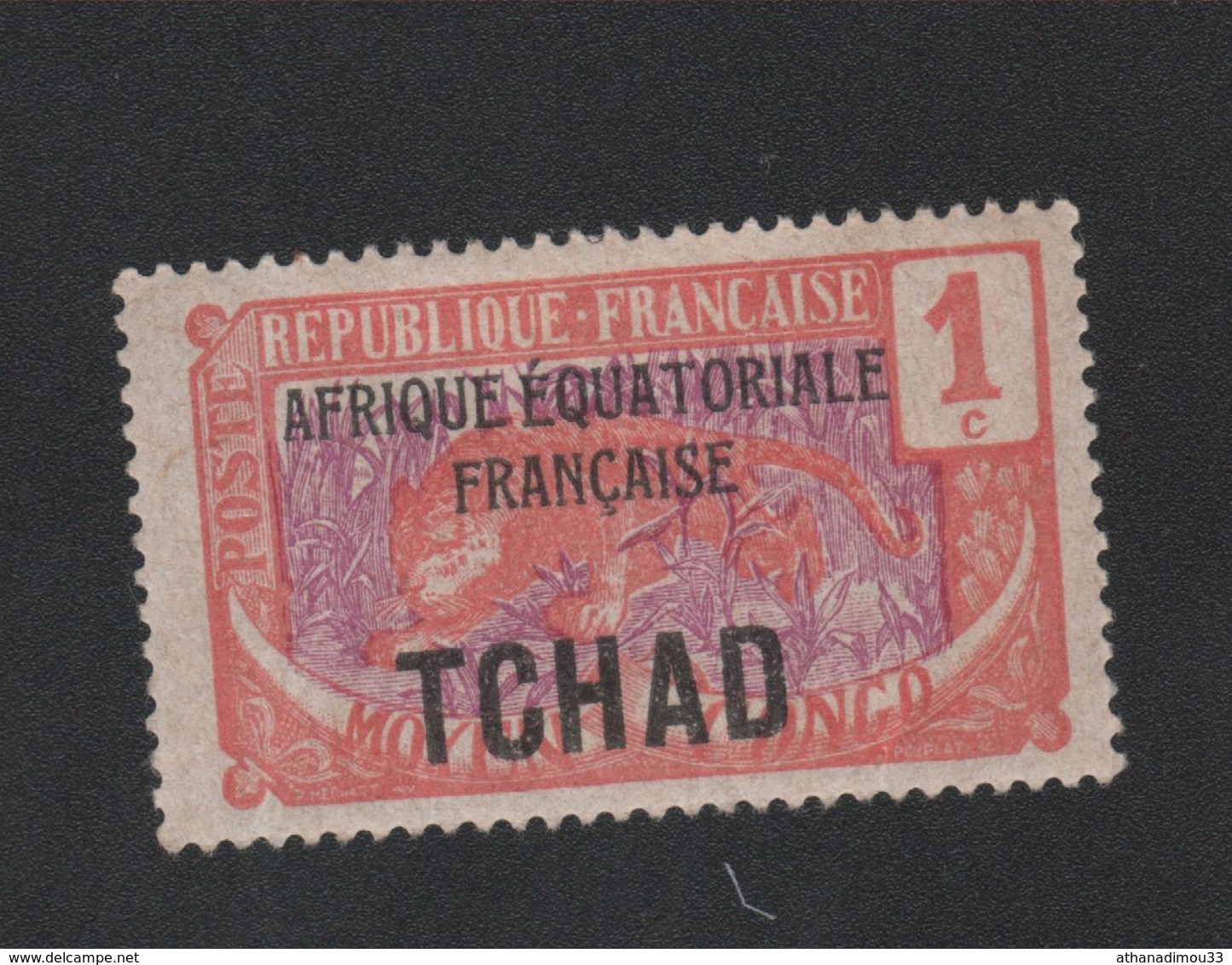 Guinée N° 19 Gomme Avec Charnière - Unused Stamps