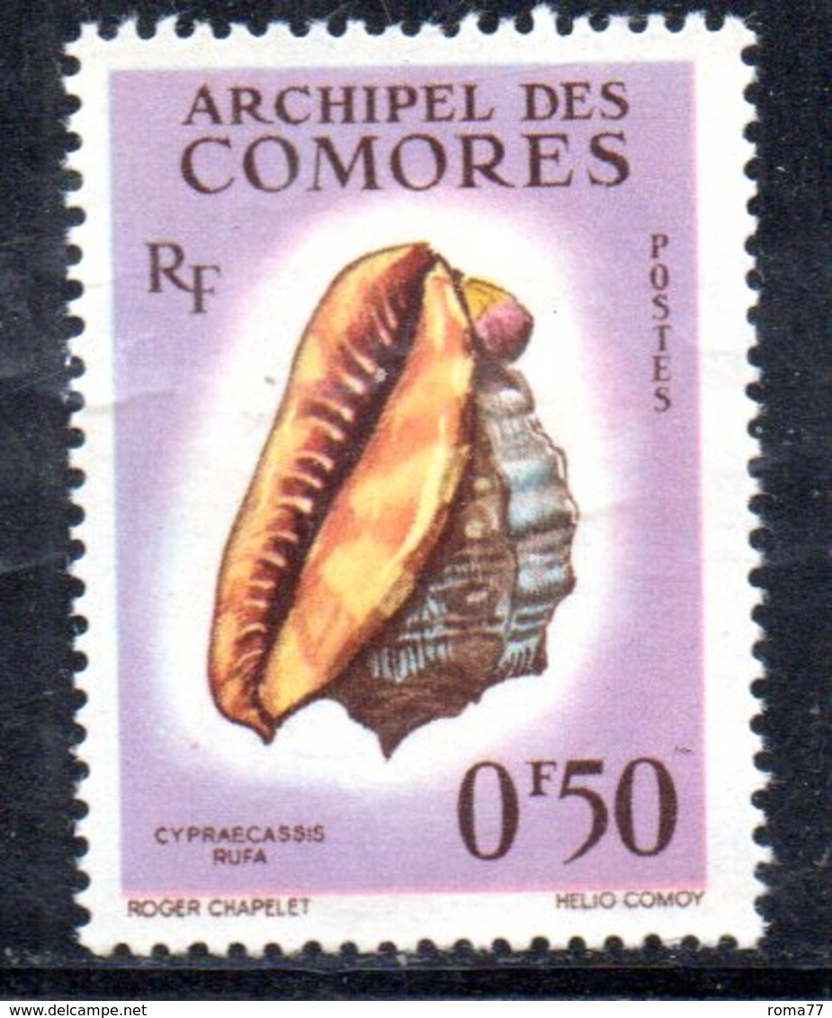 APR2197 - COMORES  1962, Yvert N. 19  ***  MNH Rufa - Nuovi