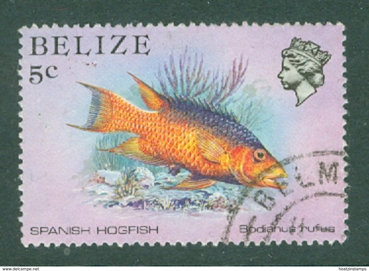 Belize: 1984/88   Marine Life   SG770    5c   Used - Belize (1973-...)