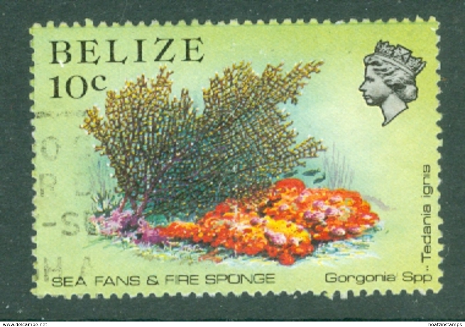 Belize: 1984/88   Marine Life   SG772    10c   Used - Belize (1973-...)