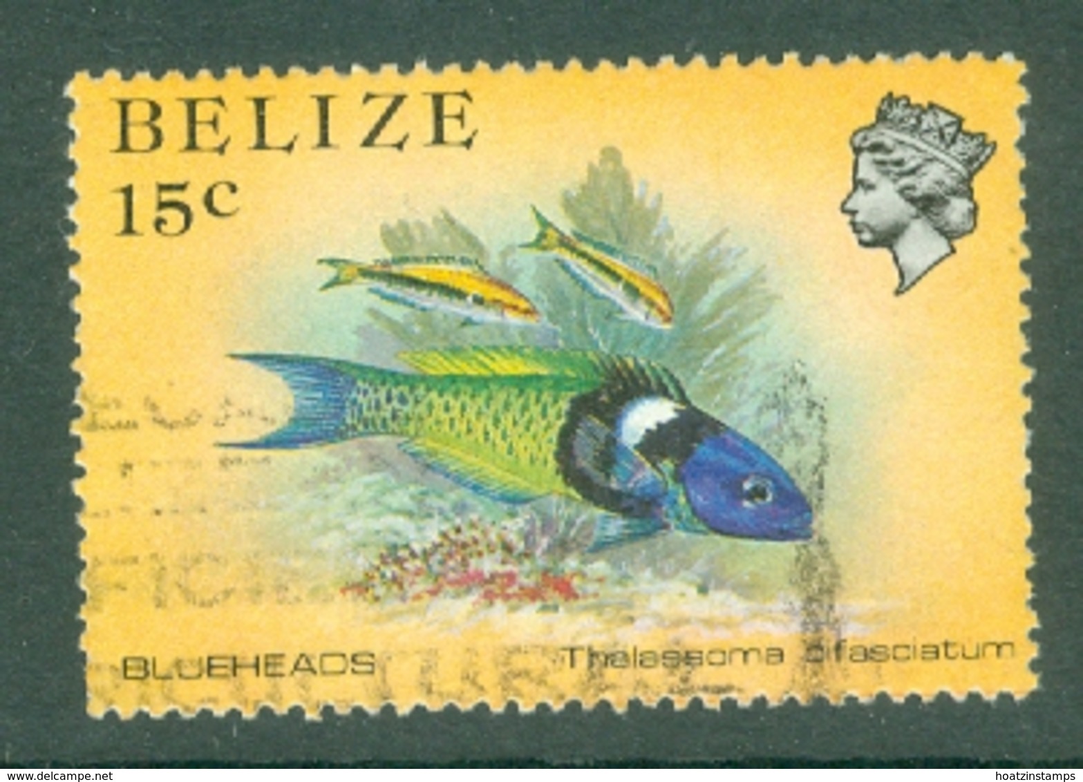 Belize: 1984/88   Marine Life   SG773    15c   Used - Belize (1973-...)