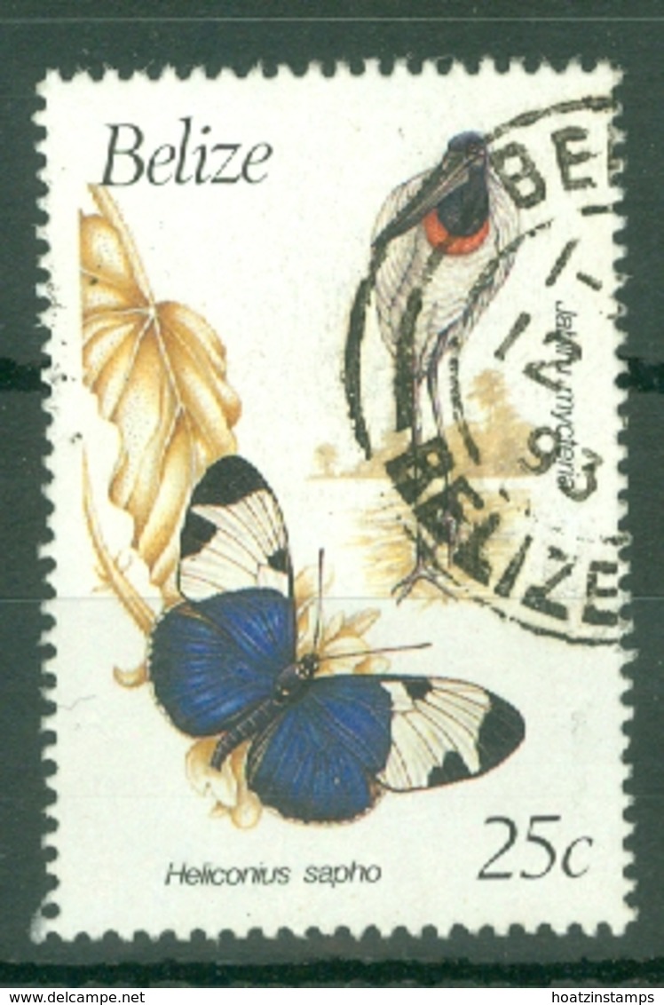 Belize: 1990/93   Birds And Butterflies   SG1070A    25c  Used - Belize (1973-...)