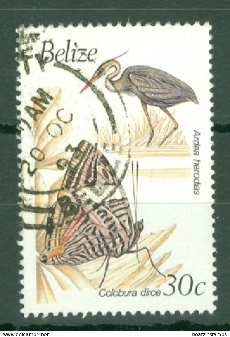 Belize: 1990/93   Birds And Butterflies   SG1071A    30c  Used - Belize (1973-...)