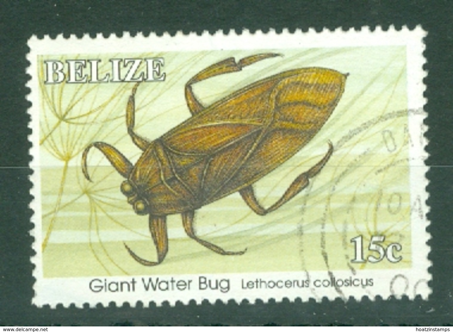 Belize: 1995/96   Insects   SG1172A    15c  Used - Belize (1973-...)