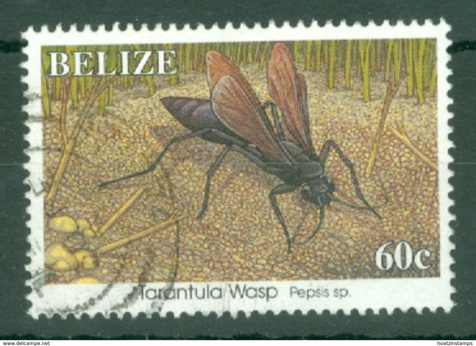 Belize: 1995/96   Insects   SG1176A    60c  Used - Belize (1973-...)