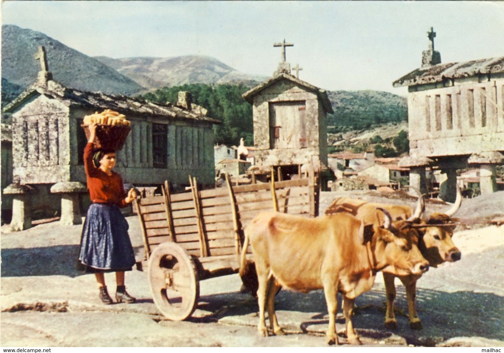 PORTUGAL - ARCOS DE VALDEVEZ - Village Du Soajo - Attelage De Boeufs - Voyagée 1964 - Viana Do Castelo