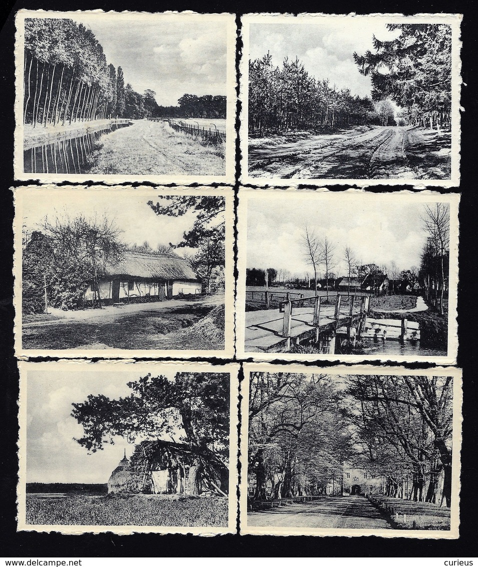 SNAPSHOTS WESTERLOO * 10 X * 9 X 7 CM * ZIE SCANS - Westerlo