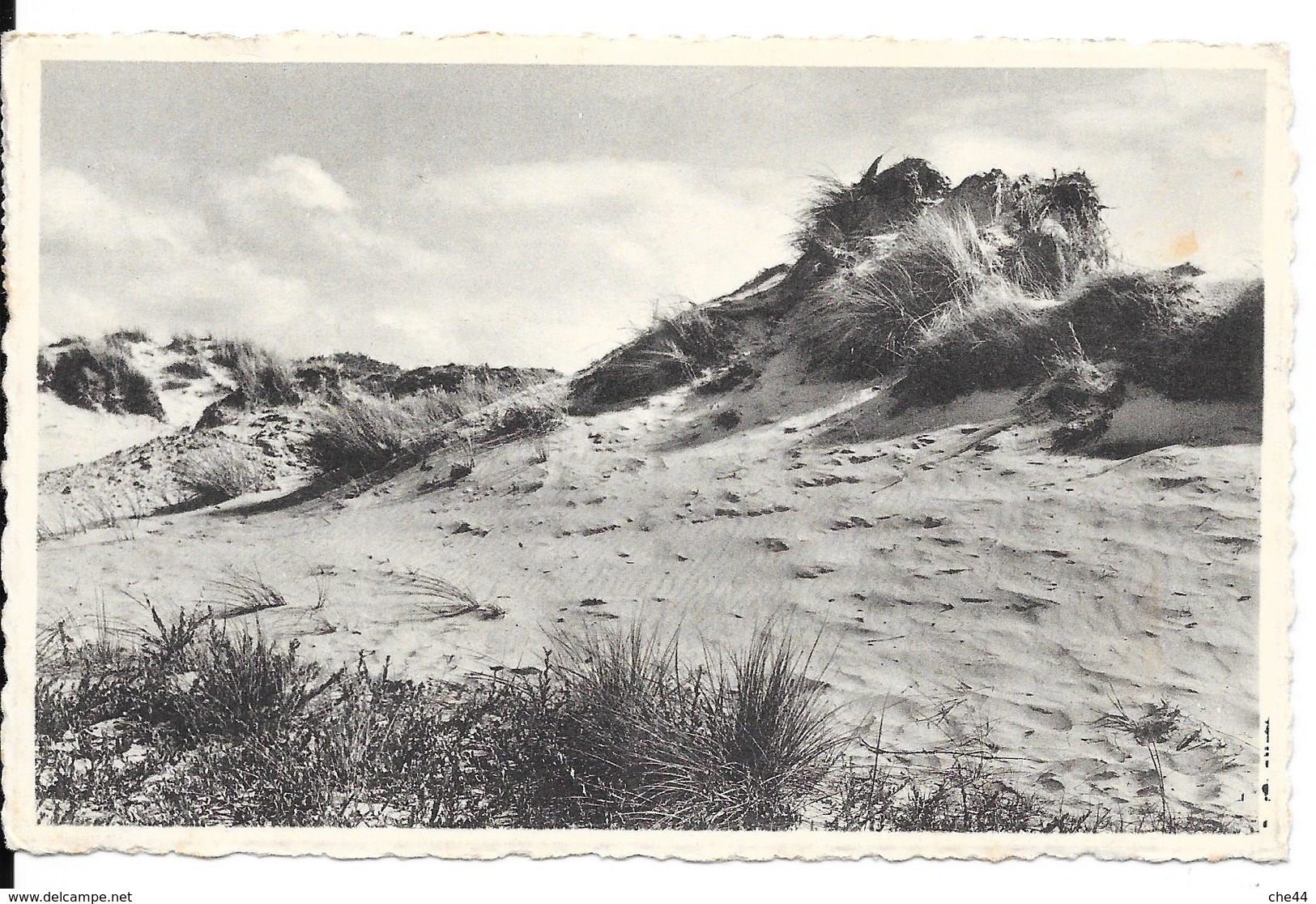 La Dune Sauvage. (Voir Commentaires) - Autres & Non Classés