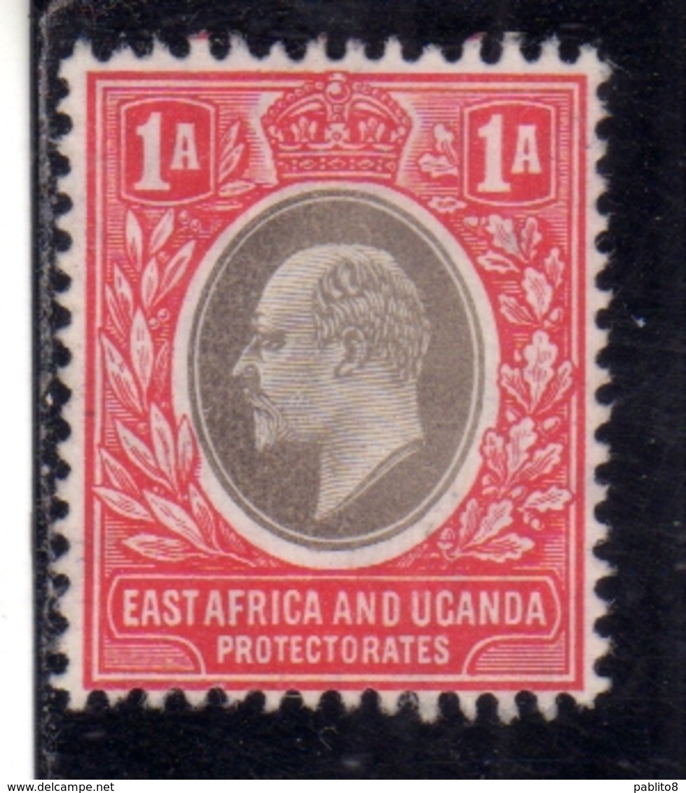 EAST AFRICA ORIENTALE & UGANDA PROTECTORATES 1903 KING EDWARD VII RE EDOARDO 1a MNH - Protettorati De Africa Orientale E Uganda